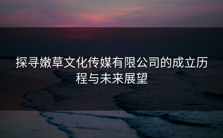 探寻嫩草文化传媒有限公司的成立历程与未来展望