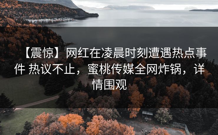 【震惊】网红在凌晨时刻遭遇热点事件 热议不止，蜜桃传媒全网炸锅，详情围观